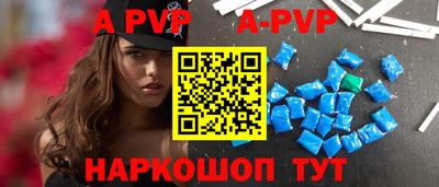 a pvp Кингисепп